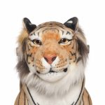 Tiger Shirkan X-Large