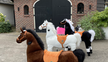 Sinterklaas cadeau inspiratie voor kinderen