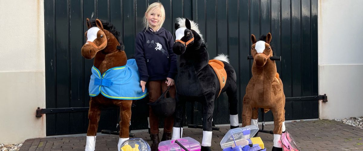 Meisje met verschillende paarden op wieltjes