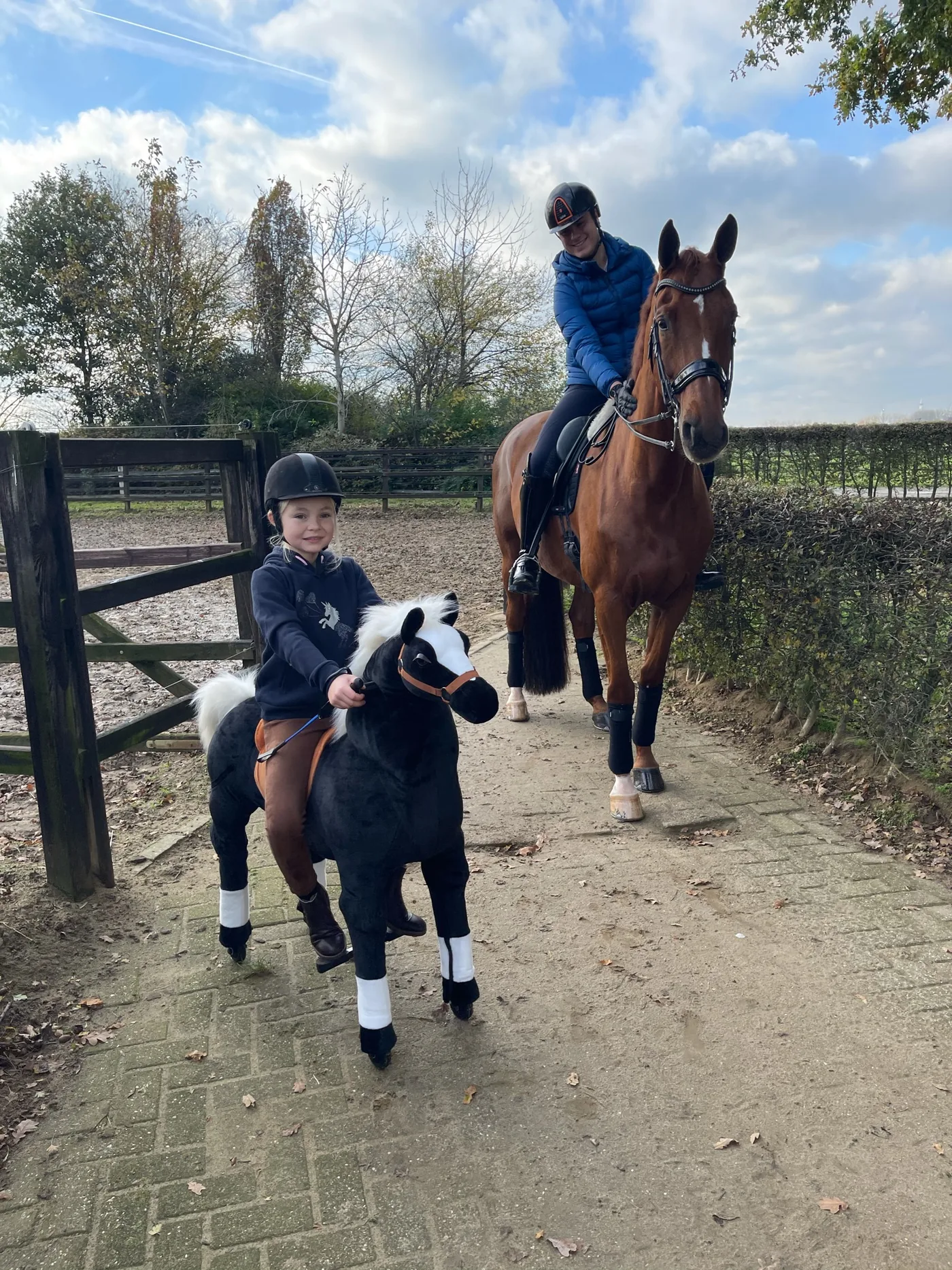 Hoe Animal Riding begon