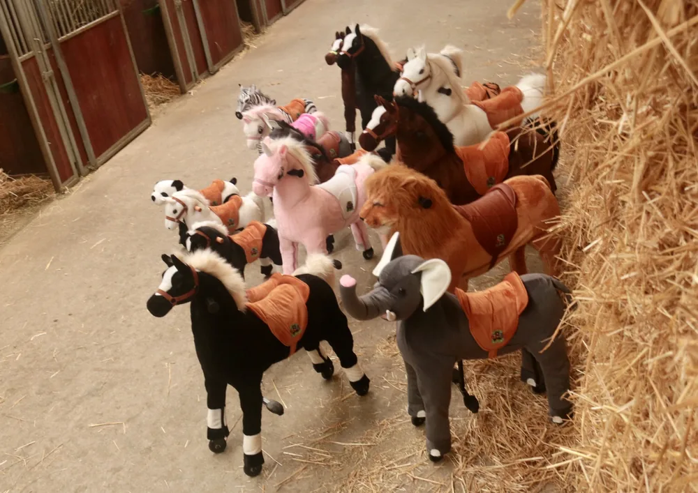 Animal Riding impressie 1