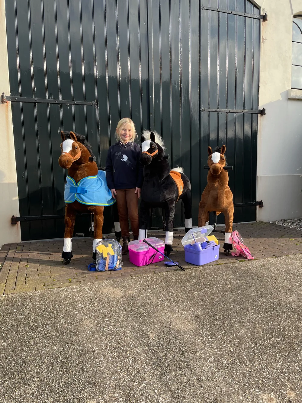 Animal Riding impressie 3