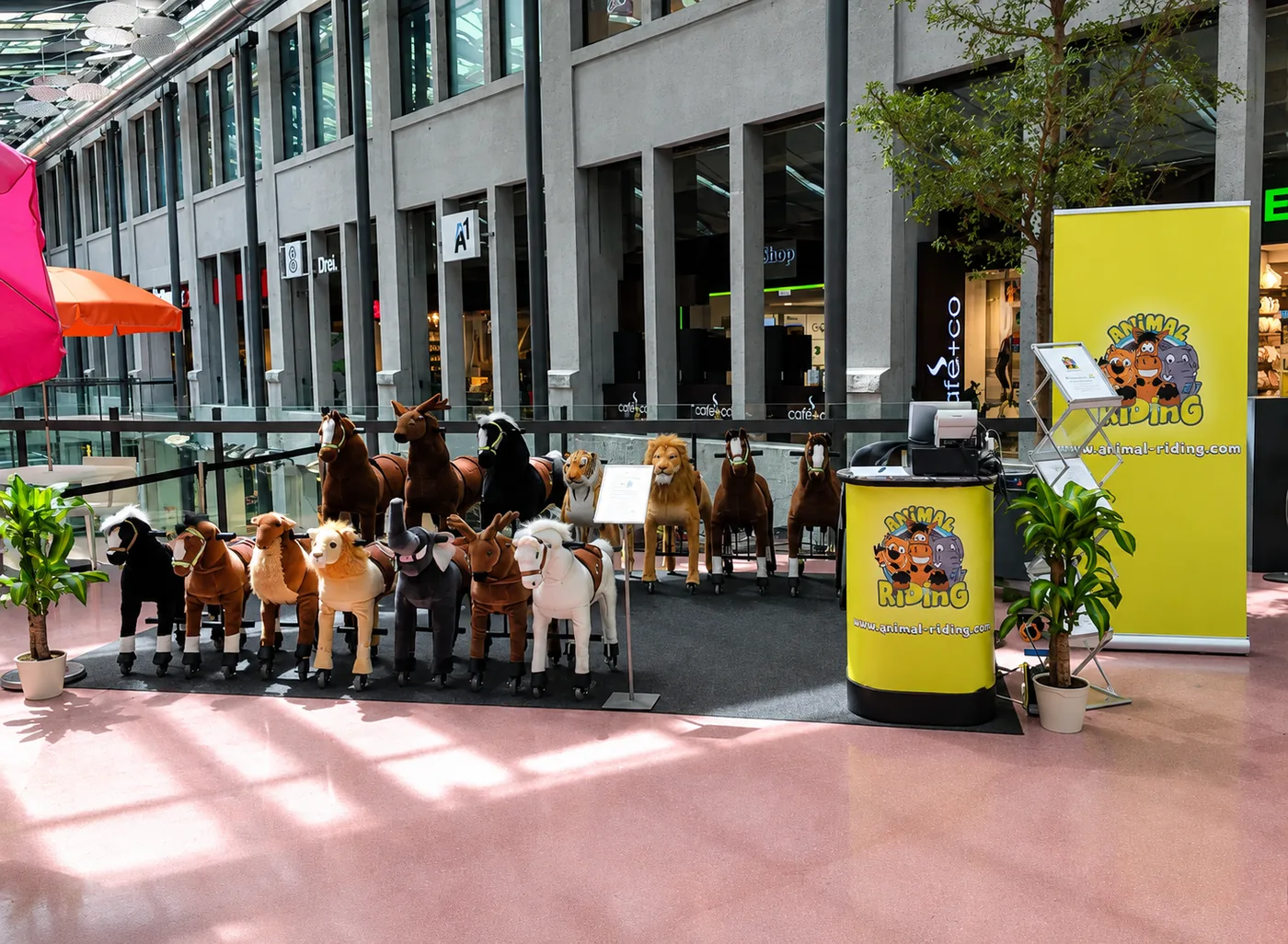 Animal Riding op locatie